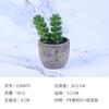 [Suculentas Mini] Planta Suculenta Artificial Bonsái en Maceta de Pulpa de Papel (Maceta Incluida) Adorno Ornamental Imitación de Planta