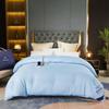 Venta Directa de Fábrica Duvet de Terciopelo de Pluma para Hotel Estrella Colcha de Primavera y Otoño Colcha para Bed and Breakfast Núcleo de Pluma de Ganso Regalo de Compra Grupal Colcha