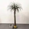 Simulação Beladona Árvore Floresta Tropical Planta Falsa Jardim Externo Paisagismo Decoração Árvore Dracena Árvore do Milênio Planta Verde