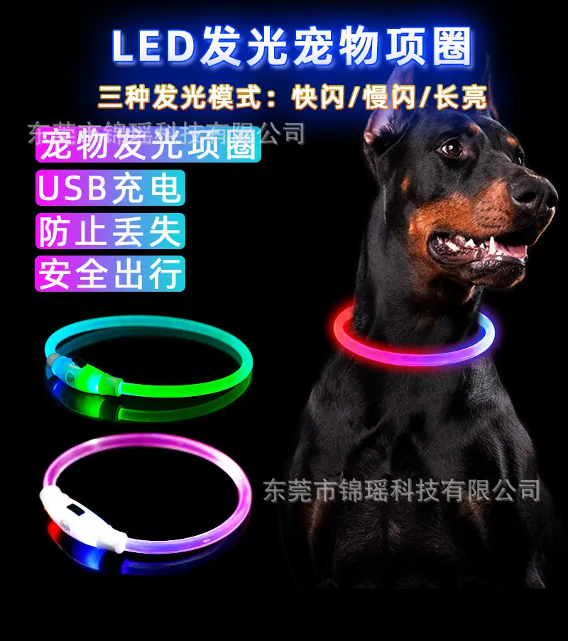 发光项圈