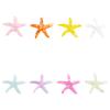 Acessórios de resina para paisagem marinha micro série Oceano concha Estrela-do-mar de cristal pequenos enfeites DIY mini pêndulo plano