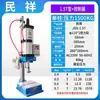 Rebitadeira Pneumática Máquina de Crimpar Porca de Plástico Máquina de Prensagem Automática com Placa de Pressão Prensa Térmica Pneumática