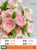 Planta de Maceta Balcón de Jugo Rosa con Flores y Capullos para Balcón y Jardín, Planta de Floración Grande, Planta de Rosa de Floración Reblooming