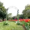 Fábrica de Origen Venta Caliente Transfronteriza Bastidor de Hierro para Trepar en Patio Boda Jardín Bastidor para Flores Rosas Bastidor para Uvas