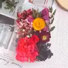 Regalos Artesanales Navideños, Flores Inmortales, Flores Secas, Materiales para Manualidades, Flores Reales, Velas Naturales, Marcos de Fotos con Abanico, Decoración Ambiental