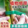 Ataduras Verdes para Plantas Resistentes al Calor, Ataduras de Velcro para Plantas, Correas Adhesivas Verdes para Sujetar Plantas