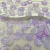 Pétalas de Camélia em Gradiente de Duas Cores Concha Ma Beibei Flor de Concha Flor de Peônia de Jade Fragrante Peônia Tianzhu Flor de Peônia