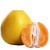 Mudas de pomelo, coração vermelho, polpa vermelha, árvores frutíferas enxertadas com pomelo mel, mudas de frutas plantadas no sul e no norte, três frutos de pomelo mel vermelho no mesmo ano