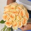 Balcón de Jugo Planta en Maceta Rosa con Capullos Florece Todo el Año Flor de Rosa Rosales Fáciles de Cultivar con Aroma Frutal