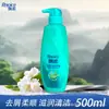 Shampoo Anticaspa Hidratante Rejoice 500g Homens e Mulheres Suave Hidratante Acomodação Essencial para Estudantes Genuíno Atacado