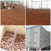 Lichis Secos de Guangdong, Fruta Grande, Variedad Guiwei de Gaozhou, Hueso Pequeño, Secados Naturalmente al Sol, Nueva Cosecha de 2026, Piel Fina, Pulpa Espesa, Lichis Secos