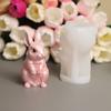 Molde de Yeso de Aromaterapia Conejo de la Suerte Estéreo DIY Pellizco Aroma Vela Adornos Decorativos Molde de Silicona Animal