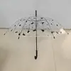 Guarda-chuva Transparente, Guarda-chuva de Chuva Transparente, Cabo Reto, Cabo Longo, Branco Transparente, Guarda-chuva de 8 Varetas, Guarda-chuva Fosco, Guarda-chuva com Logo Personalizado