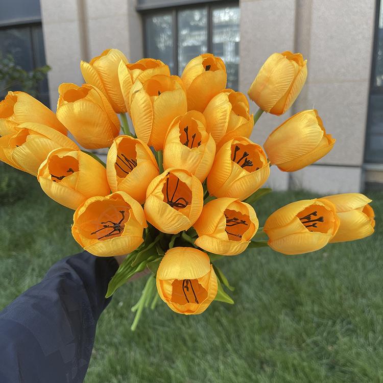 20头把束花蕊郁金香-黄色.JPG