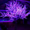 Proyecto de árbol luminoso para exteriores, luces LED impermeables de simulación de cerezo, iluminación decorativa para patio, plaza y festival.