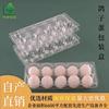 Caja desechable tipo blíster para huevo de paloma 10 transparente a prueba de golpes plástico bandeja para huevo de paloma directo de fábrica embalaje caja de regalo