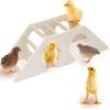 Estrutura de Escalada para Galinhas, Poleiro para Galinhas, Estrutura de Treinamento, Habitat para Galinhas, Estrutura de Brinquedo para Galinhas, Estrutura de Plataforma de Salto para Galinhas