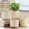 Vaso de Cerâmica para Flores com Prato, Estilo Ins de Luxo Leve, Diâmetro Grande, Estilo Creme, para Orquídeas e Suculentas, Liquidação