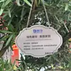 Etiquetas para Árboles en Adopción, Señales para Plantas, Placas Metálicas para Embellecimiento, Señales de Identificación de Plantas del Día del Árbol para Parques
