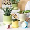 Maceta Escandinava Simple Transpirable Cerámica Sin Esmaltar Porosa Redonda Maceta para Flores Maceta para Plantas Suculentas Maceta de Cerámica con Soporte Se Puede Vender al Por Mayor