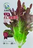 Sementes de Vegetais Yangchun Bajia Mark Sementes de Alface Yangchun Sementes de Trigo Doce Sementes de Vegetais Envasados para Varanda e Pátio
