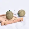 Micro-paisagem Criativa Realista Simulação Frutas Comida Brincadeira Decorações Acessórios Casa de Bebê Mini Artesanato de Resina Pequenos Enfeites