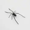 Ímã de Geladeira Aranha Novos Ímãs de Geladeira de Aranha Realistas da Amazon