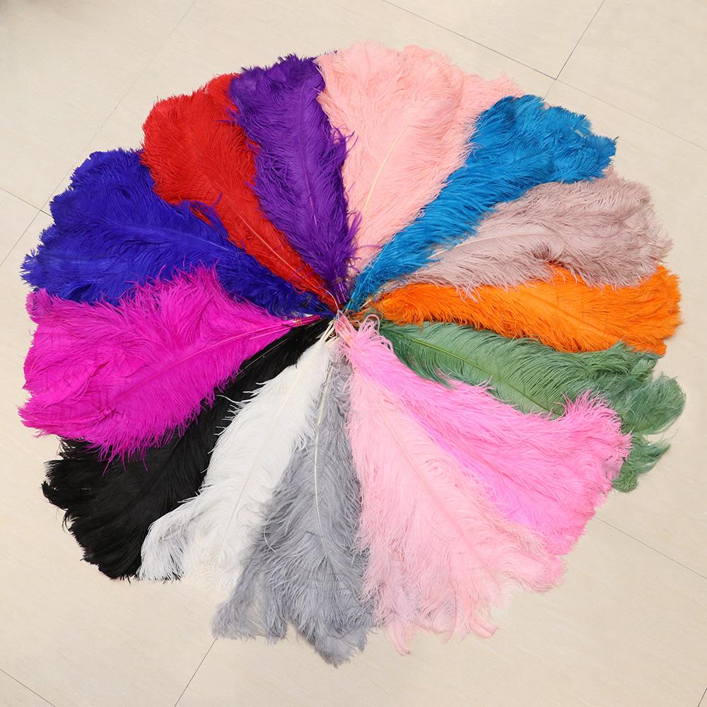 60-65cm 鸵鸟毛散支_0001_IMG_4236