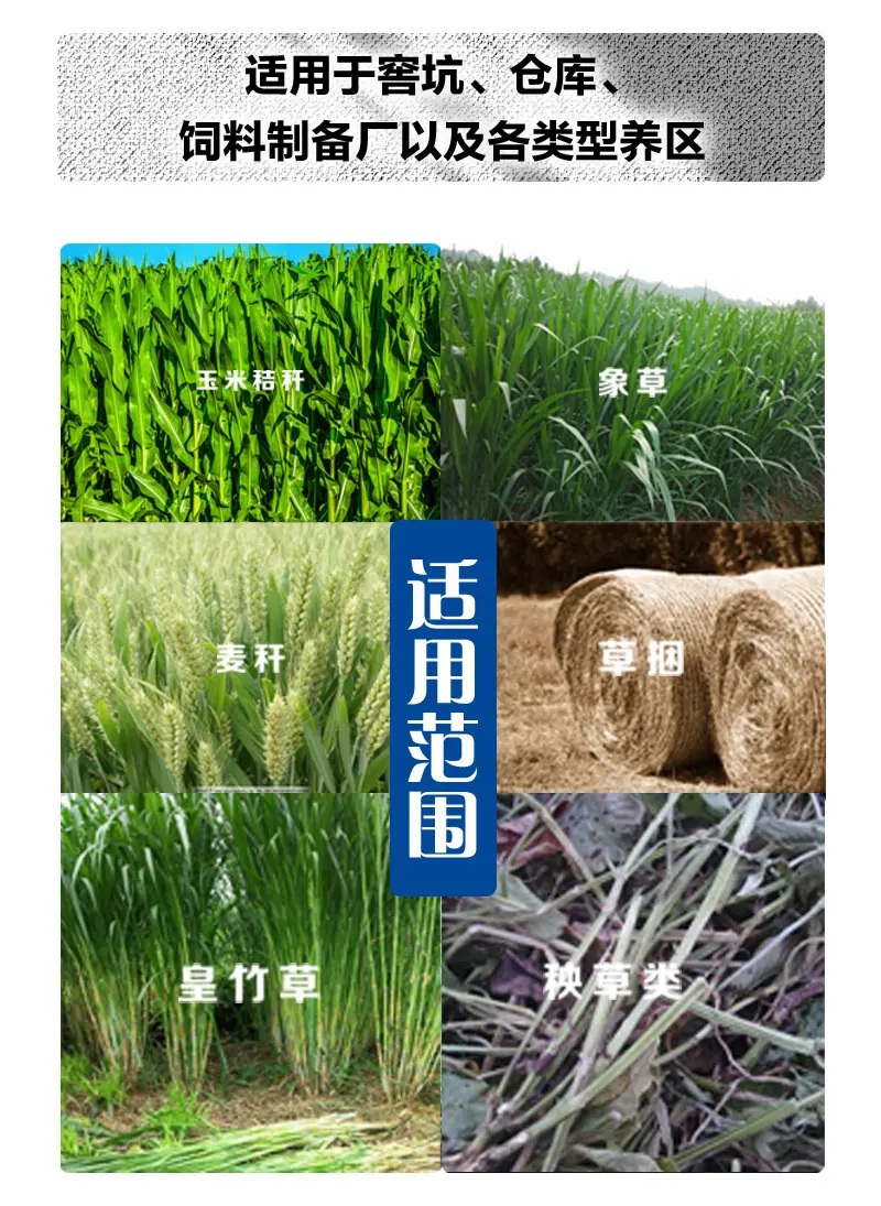 圆盘_07.jpg