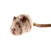 GiGwi es un juguete de peluche premium para morder para perros con sonido incorporado, adecuado para que lo muerdan gatos y otras mascotas.