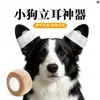 Endireitador de orelha de cachorro, endireitador de orelha de filhote, adesivo para endireitar orelha, suporte para orelha de filhote, adequado para Border Collies, Pastores Alemães e Dobermans