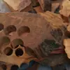 Fragmentos Naturales de Madera de Tuya Taihang, Fragmentos Fragantes, Fragmentos de Incienso, Fragmentos de Incienso Eléctrico, Fragmentos Envejecidos, Polvo de Incienso, Material de Desecho