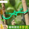 Fábrica atacado jardinagem 8 caracteres fivela trepadeira videira verde planta fixação clipe planta vegetal amarração gravata oito caracteres fixação fivela
