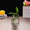 Vaso de Vidro Transparente Moderno e Simples Estilo Ins Flores Hidropônicas e Plantas Verdes Arranjos de Flores Enfeites Micro Paisagismo Garrafa Ecológica