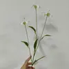 Fábrica de Flores Preferencial Transfronteiriça Flor Única 3 Flores Lírio Pequeno Jardim Falso Cenário de Engenharia Florestal Arranjo de Flores DIY