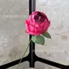 Flor de Peonía Individual Artificial Flor de Peonía Envuelto Estilo Europeo Cubo de la Fortuna Arreglo Floral Accesorios Florales para Mesa del Hogar Dropshipping Transfronterizo