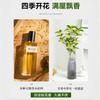 Sementes de Osmanthus Hidropônico em Vasos com Botões e Fragrância Forte para Interior, Escritório, Mesa, Cultivo em Água o Ano Todo