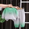 Conjunto de Ropa de Otoño para Niños y Niñas 2024 Ropa de Exterior de Primavera y Otoño Conjunto Deportivo de Otoño de Dos Piezas de Sudaderas para Niños Pequeños y Medianos