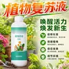 Revitalizador de Plantas Solução Nutritiva para Plantas Verdes Solução Revitalizante Promotor de Raízes Flores e Plantas Fertilizante para Flores Fertilizante Especial para Flores Solução Nutritiva Hidropônica