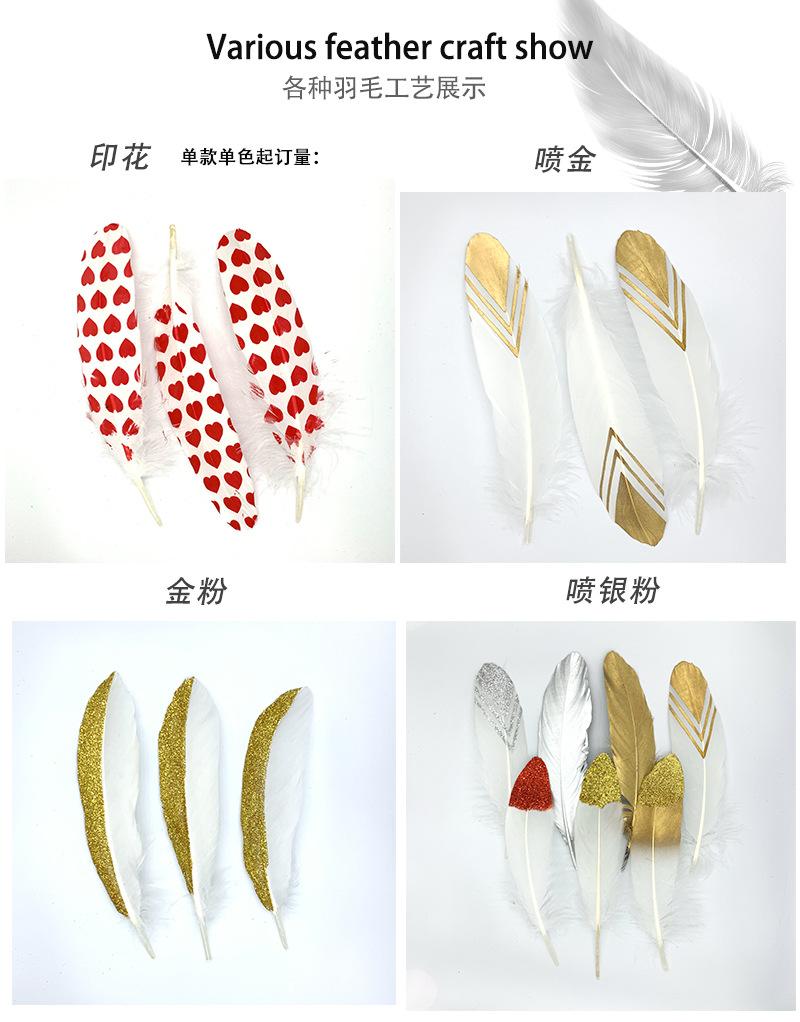 羽毛7