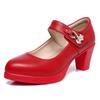 2025 Cheongsam Pasarela Tacones Altos Mujer Punta Fina Hebilla Tacón Grueso Plata Impermeable Plataforma Modelo de Escenario Zapatos Planos
