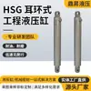 Cilindro Hidráulico Tipo Orejeta Estándar HSG Cilindro Hidráulico de Ingeniería Componentes Hidráulicos para Maquinaria de Ingeniería
