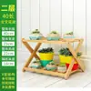 Estantería de esquina de plantas naturales para jardín de infantes materiales de decoración ambiental accesorios para registro de observación de plantación de primavera taza de planta verde