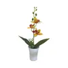 Tres Orquídeas Phalaenopsis con Macetas Altas Abiertas para Fotografía de Bonsái, Accesorios de Plantas en Maceta, Decoración de Hotel para Bodas, Adornos de Flores Artificiales