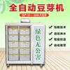 Máquina de brotes de frijol Comercial Tipo 20 automática grande inteligente máquina de brotes gran capacidad máquina de brotes de frijol mungo amarillo crudo fabricantes