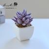 Suculenta Pequeño Bonsái Cerámica Muebles para el Hogar Decoración Fabricante de Jinhua Plantas Verdes Aliexpress Flor Artificial Plantas en Maceta