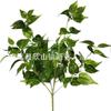 Venda Direta da Fábrica Planta Verde Pothos Manchado de 7 Pontas Montada na Parede Vaso de Flor Pendurado na Parede de Casa Decoração Pendurada de Videira Longa