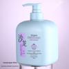 Shampoo de Aminoácidos para Salão de Beleza Atacado Shampoo com Perfume Genuíno Controle de Oleosidade Refrescante Fofo Anticaspa Limpeza