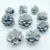 Paquete de materiales DIY hecho a mano flores mixtas plantas flores secas estilo bosque de jardín de infantes creación de anillos decoración piñas de Navidad