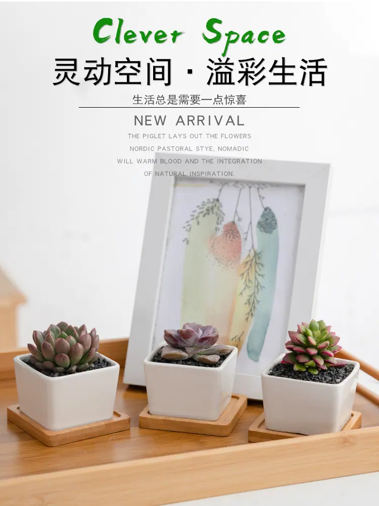 花盆7_02.jpg